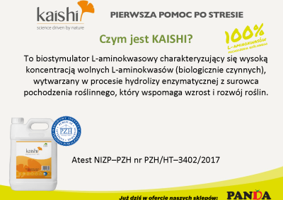 kaishi-2